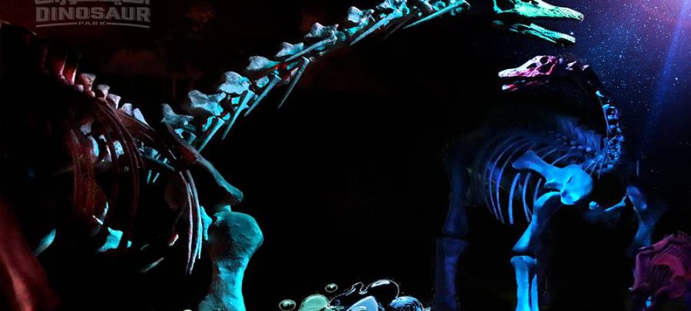 Dubai Garden Glow - Theme Park in Dubai